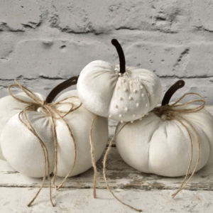 white velvet pumpkins
